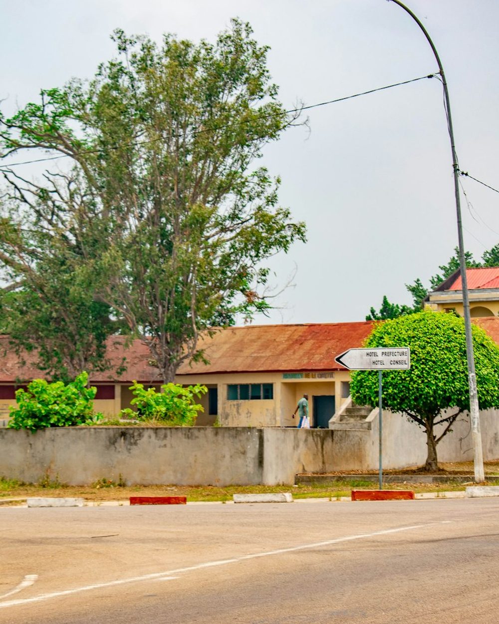 A quiet residential street lined with trees and low houses